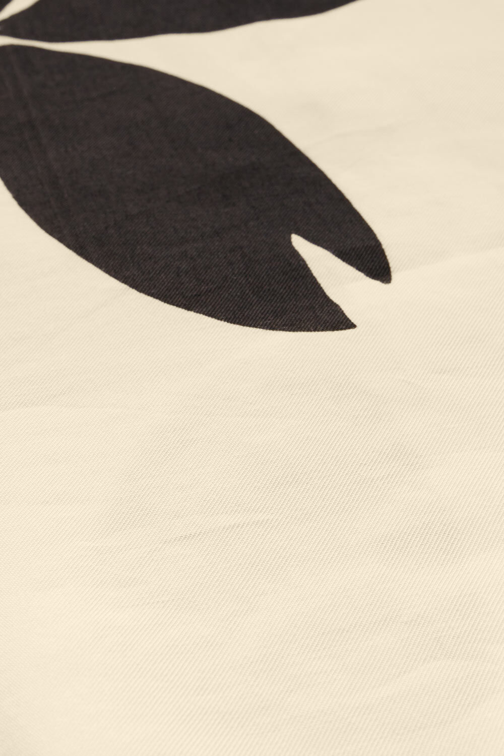 DAINA TOPP, Whitecap