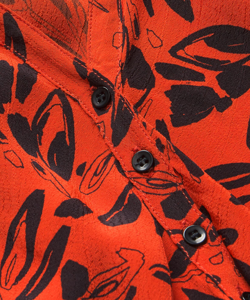 DANICA TOPP, Pumpkin