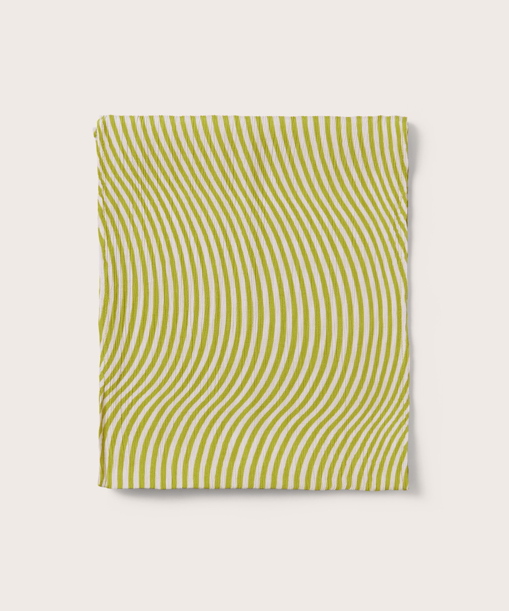 Along Skjerf, Lentil Sprout