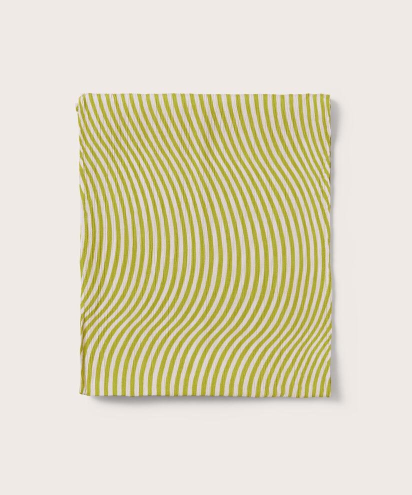 Along Skjerf, Lentil Sprout