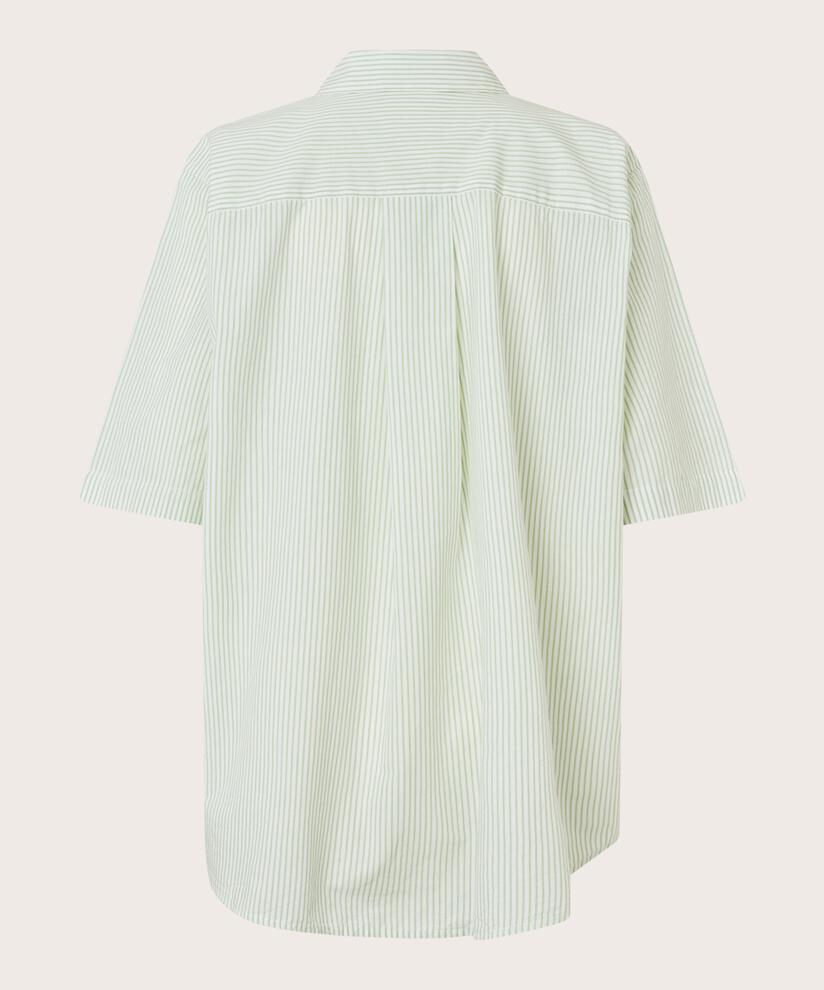 Irvine Skjorte, Frosty Green