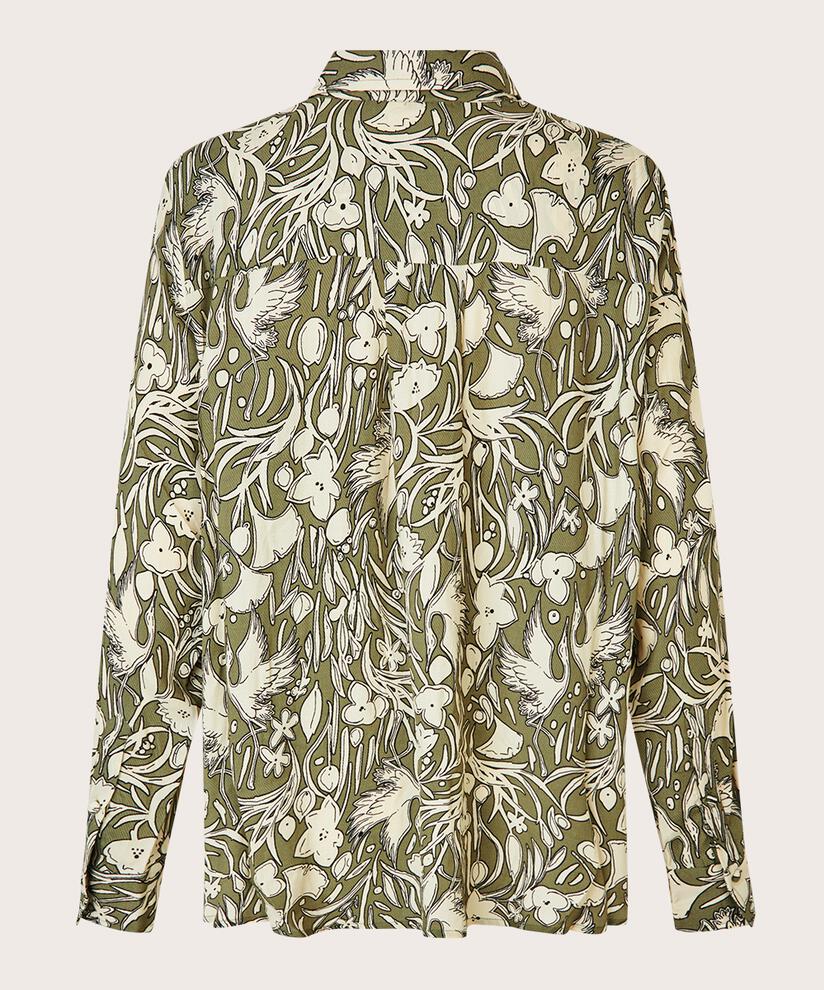 Imma Skjorte, D. Lichen Green