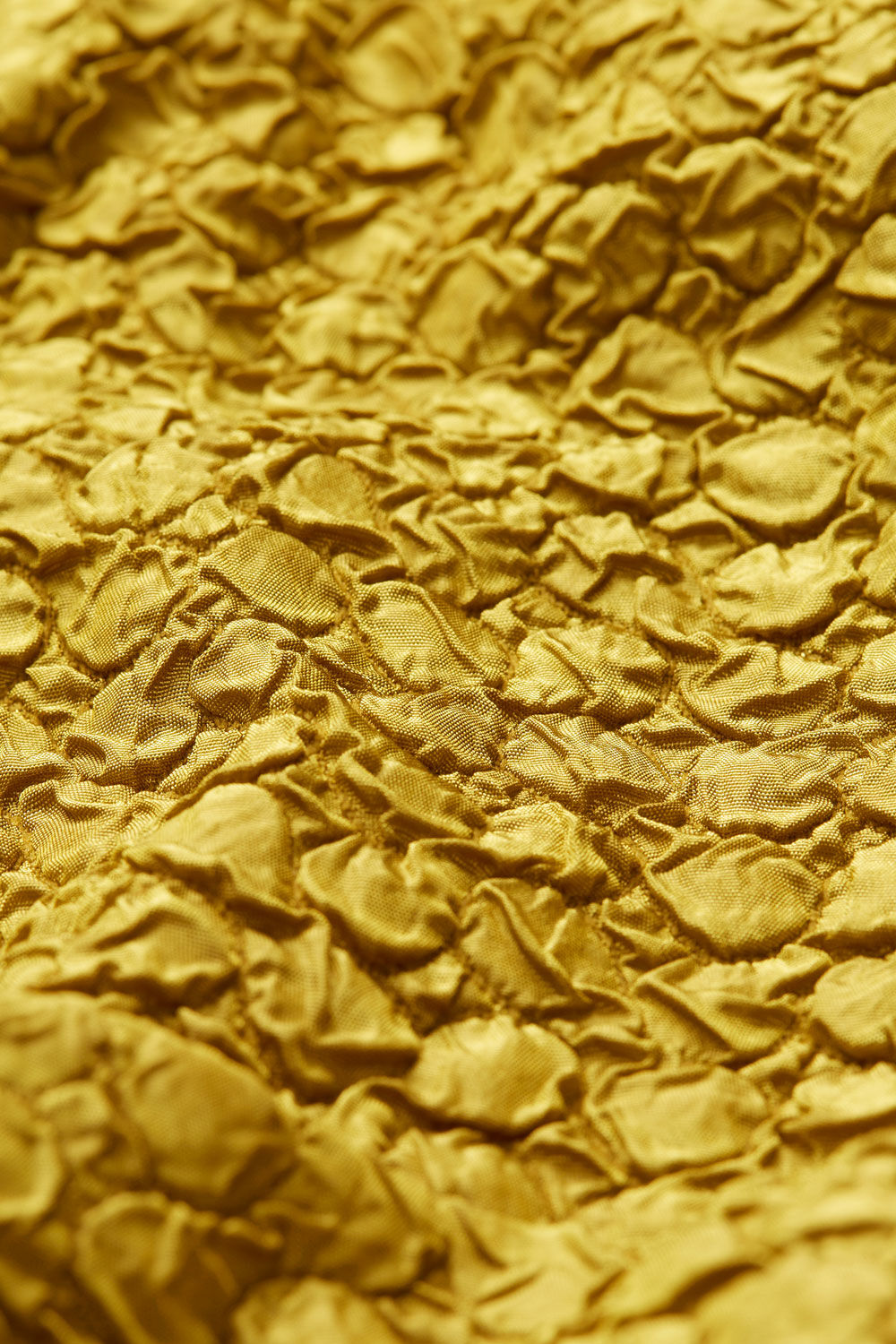 JELINA JAKKE, Olive Oil