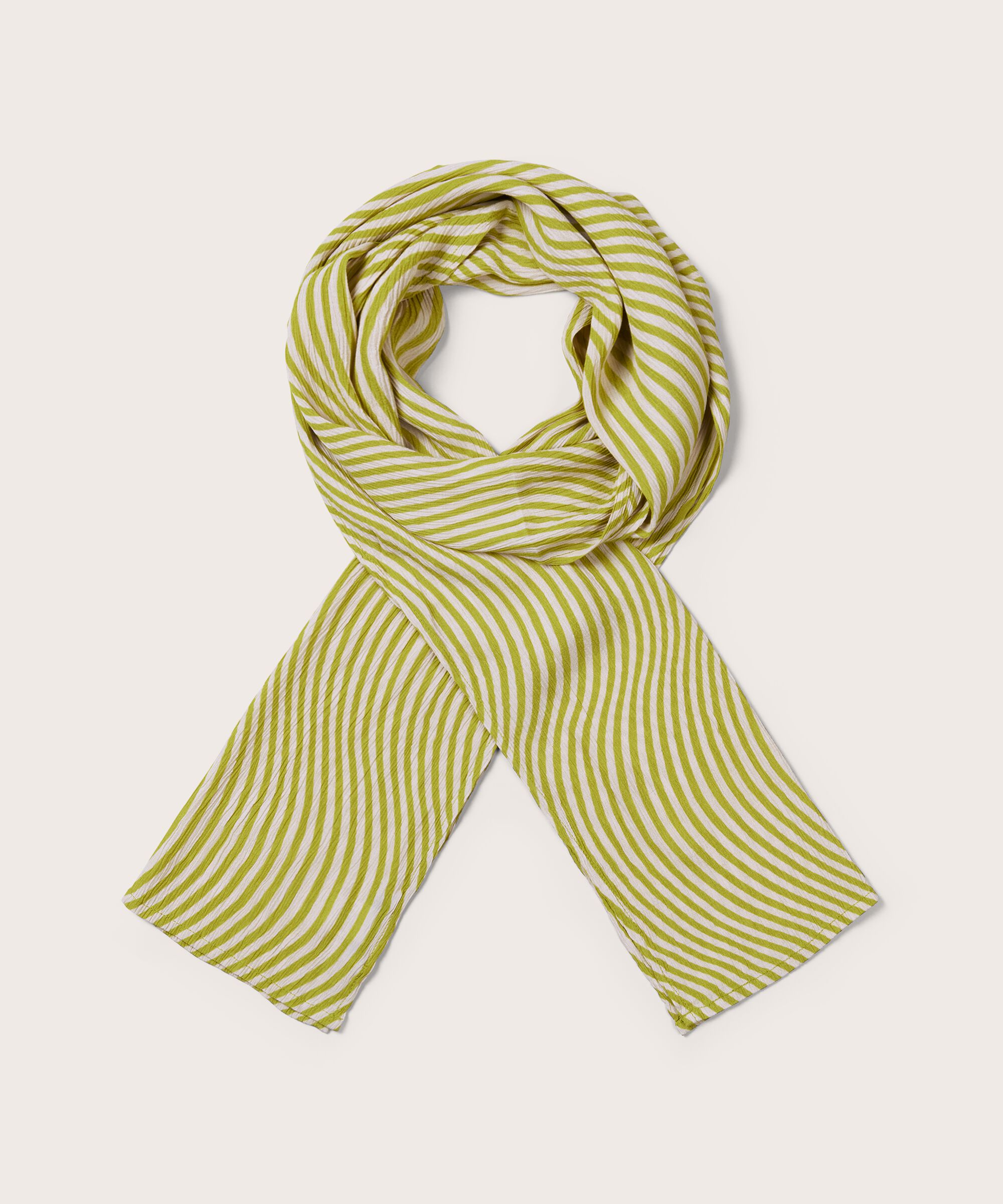 Along Skjerf, Lentil Sprout