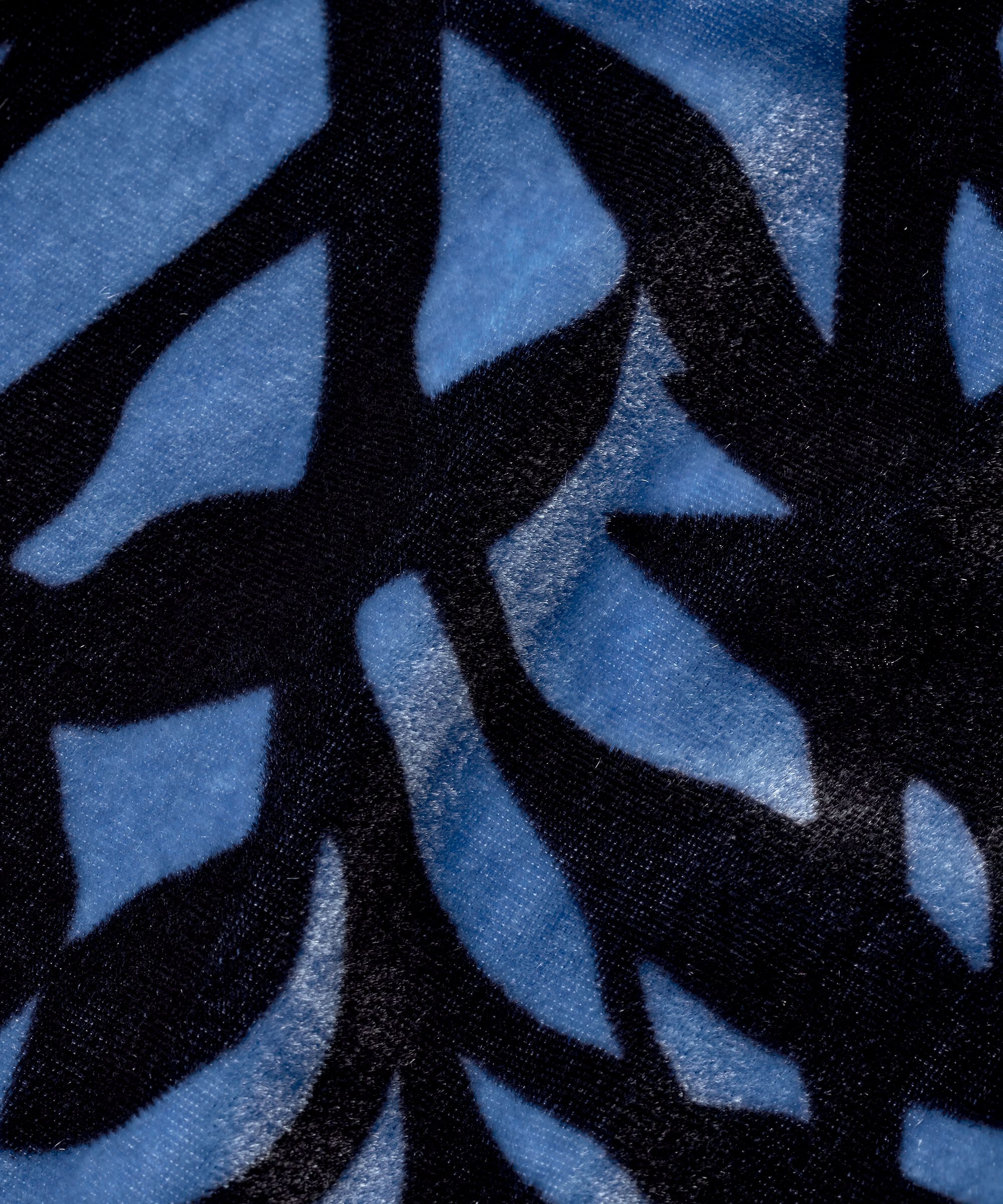 Bernadette Topp, Federal Blue
