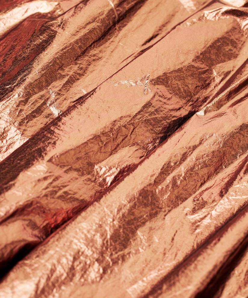 Sandy Skjørt, Bronze