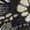 Ponderosa Pine