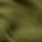 Lizard