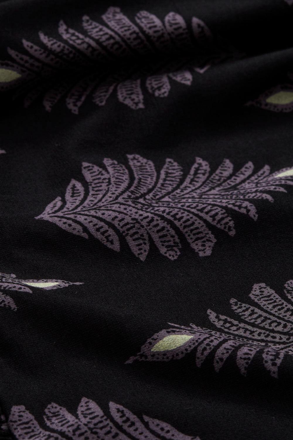 GLENCIA TUNIKA, Shark