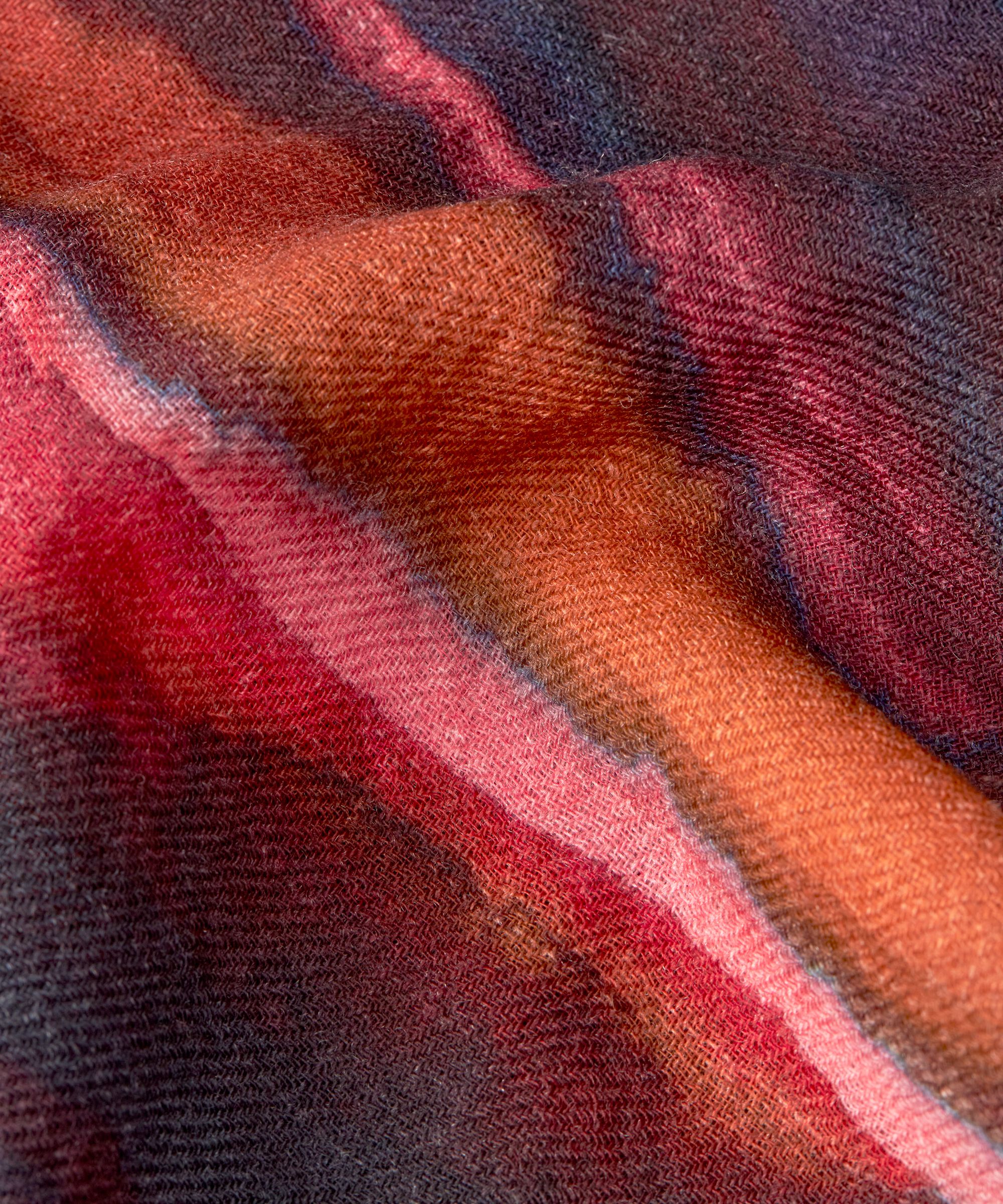 Ashlie Skjerf, Sun Tomato