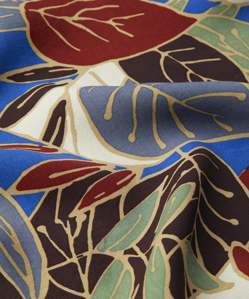 Gali Tunika, Surf the web