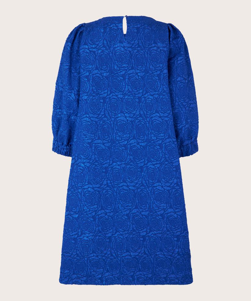 Nirisa Kjole, Surf the web